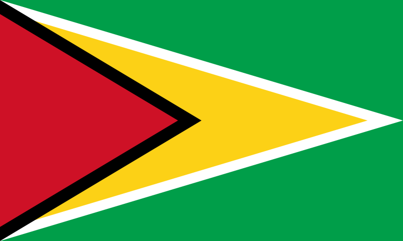 800px-Flag_of_Guyana