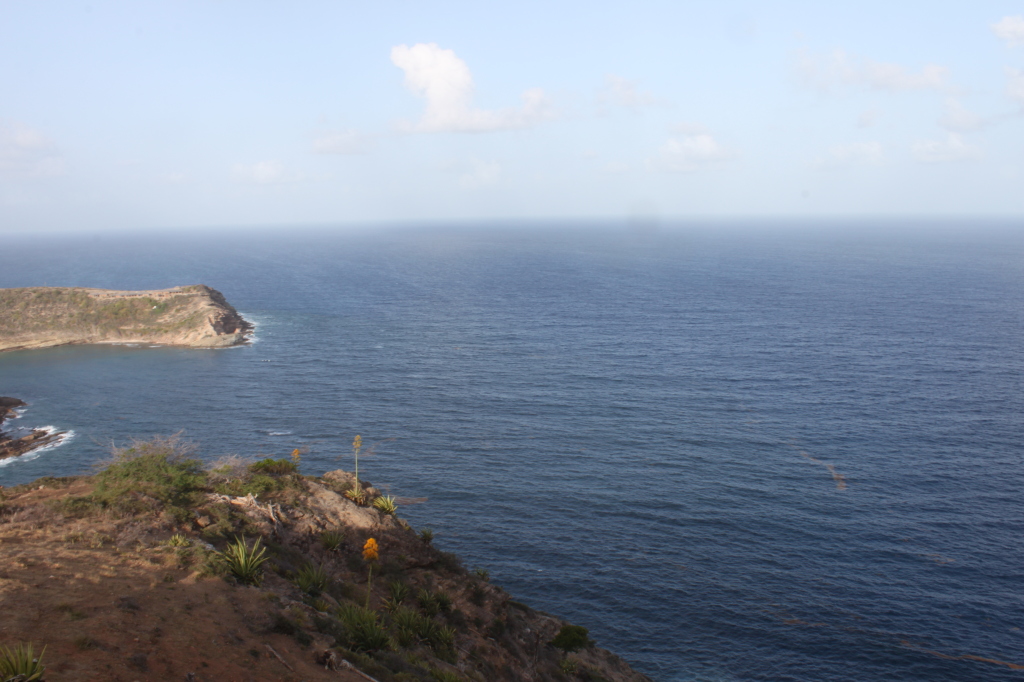 Antigua and Barbuda JDM1