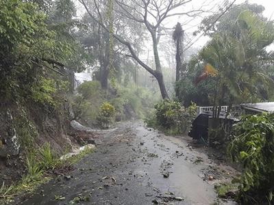 Barbados_Dominica_support