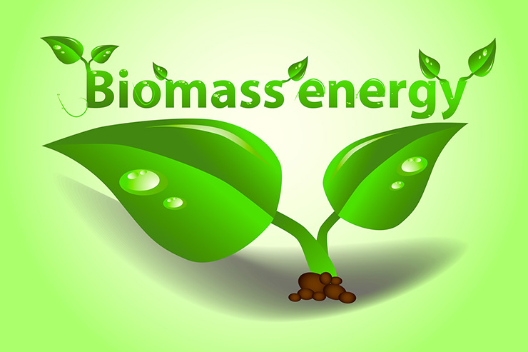 Biomass-Energy-740