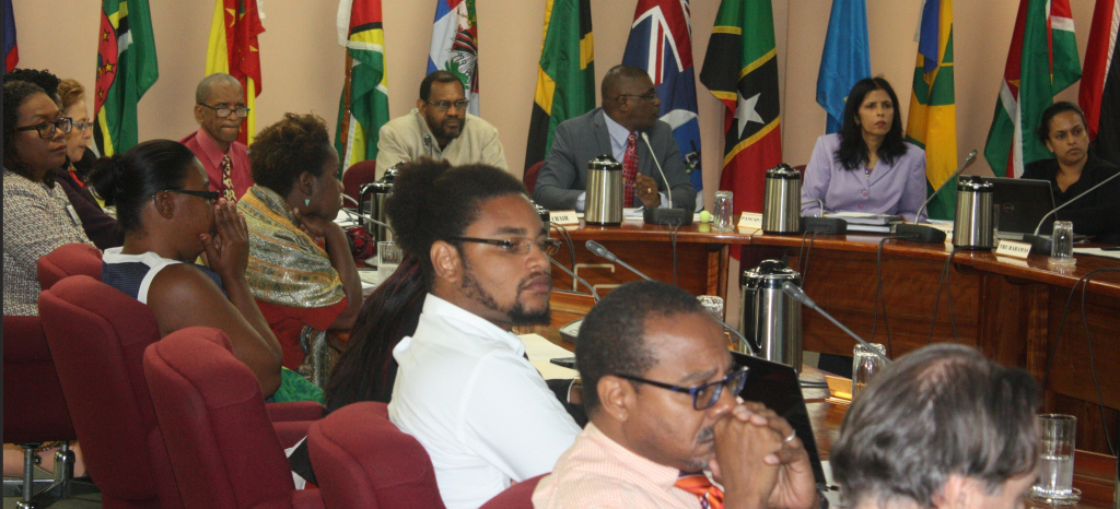 Incoming Dean of the CARICOM Youth Ambassador Corps, Mr. Kleion John participates in the PANCAP Meeting.
