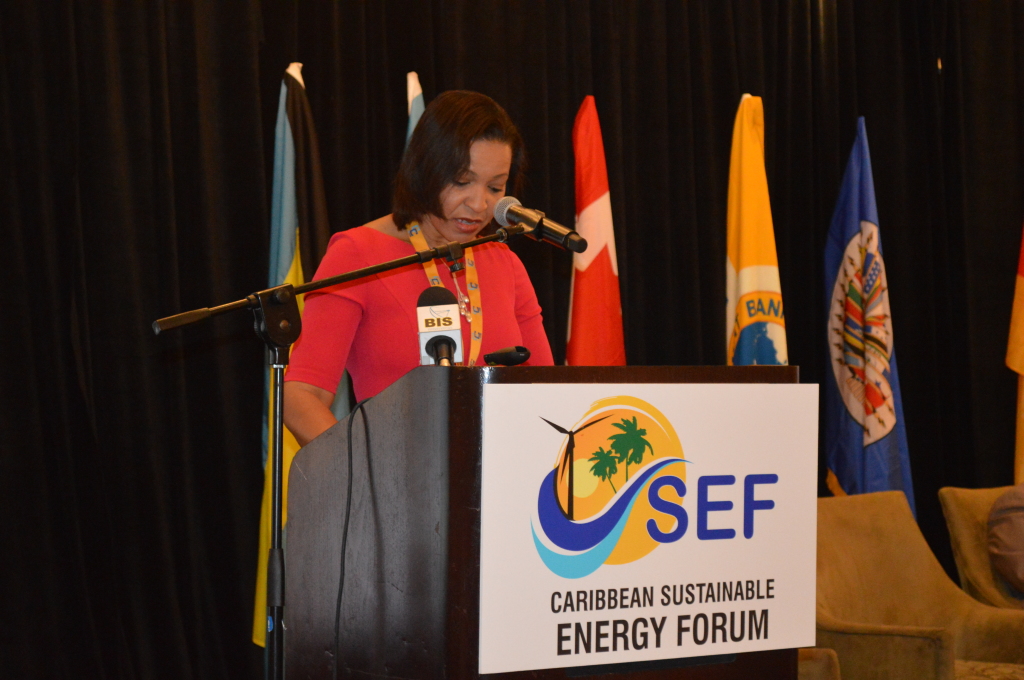 Less dialogue, more implementation, Ms Kim Osborne of the OAS (Photo via OAS)