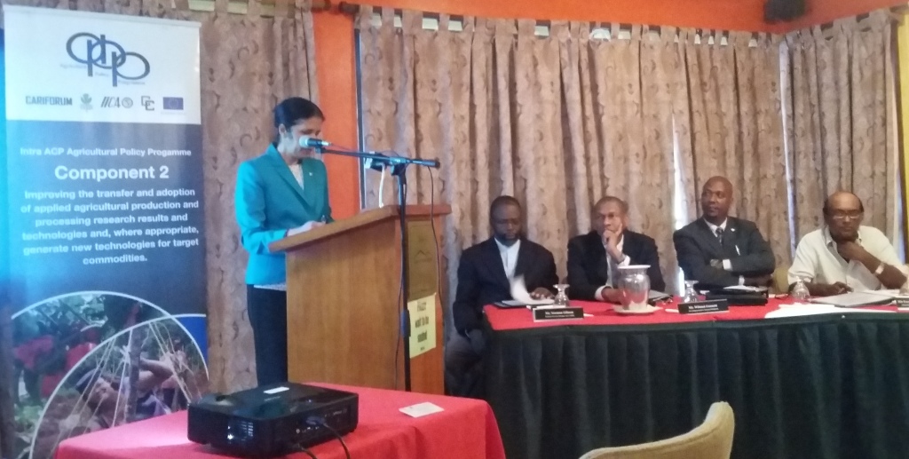 CARICOM Deputy Secretary-General, Ambassador Manorma Soeknandan addresses the opening of the regional meeting