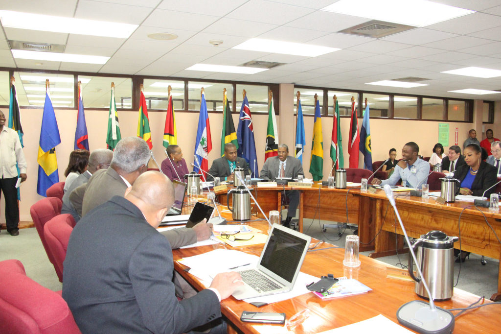 Delegates at COHSOD