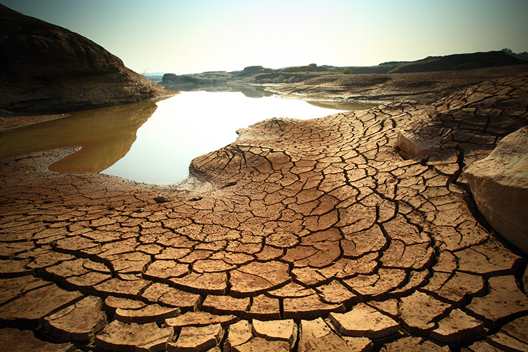 Dry-Land-740