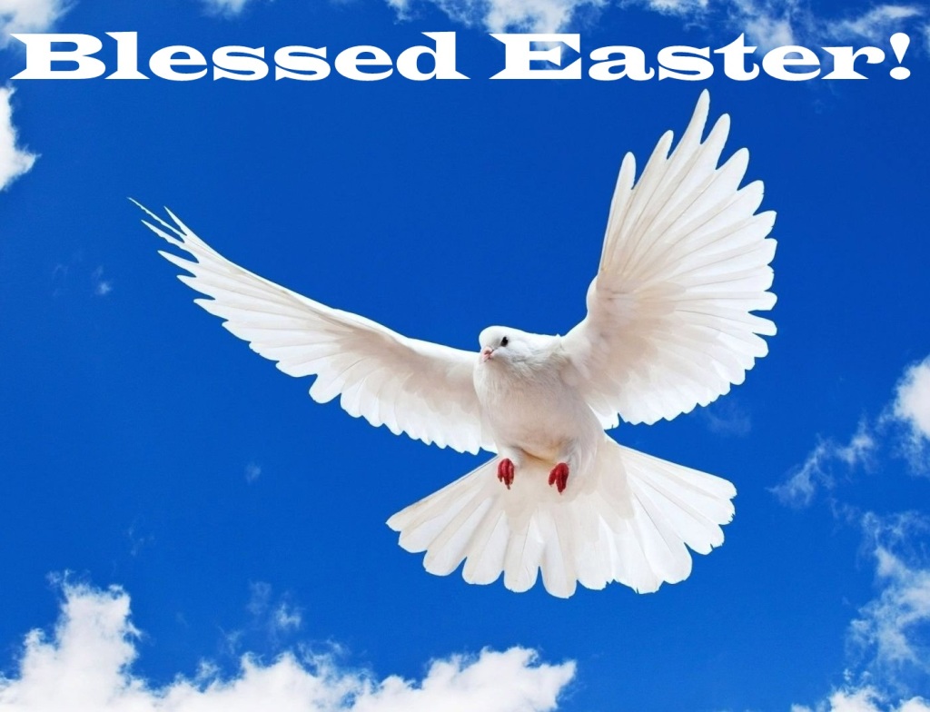 Easter white-dove