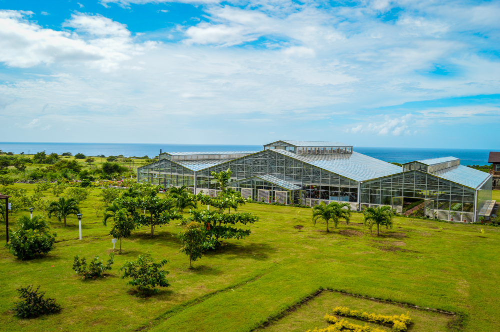 Eco-Park Opening_112114 (Greenhouse)