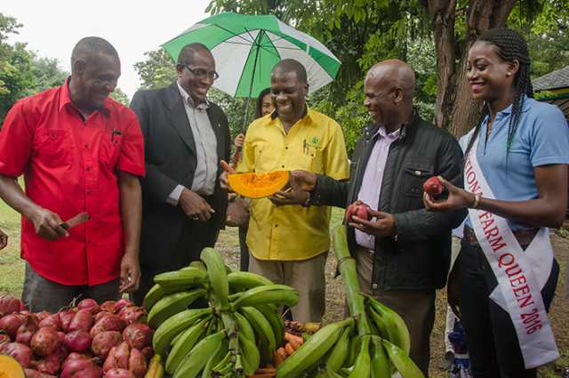 President, Jamaica Agricultural Society (JAS), Norman Grant (centre), admires a piece of pumpkin during the 13th anniversary of the Eat Jamaican Day exposition on the lawns of Devon House in Kingston, today (November 25). Others (from left) farmer Lascelles Simmond; Chief Technical Director in the Ministry of Industry, Commerce, Agriculture and Fisheries, Stephen Wedderburn; Custos of Kingston, Hon. Steadman Fuller, and 2016 National Farm Queen, Safiya Clennon. (Photo by Donald De la Haye via Jamaica Information Service)