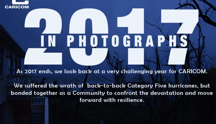 2017 in photos c