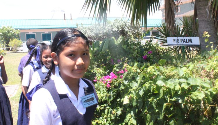 Arapaima students tour CCS