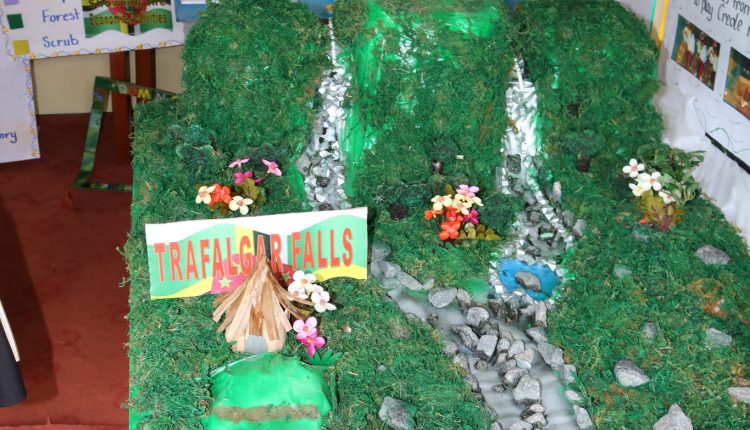 BHS Dominica display
