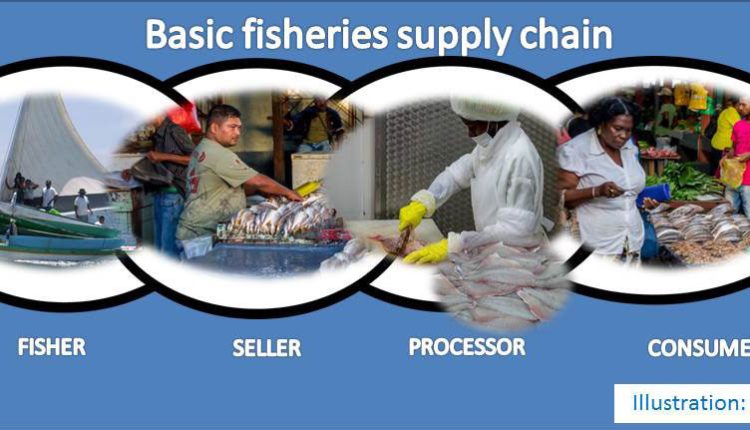 Basic-fisheries-supply-chain