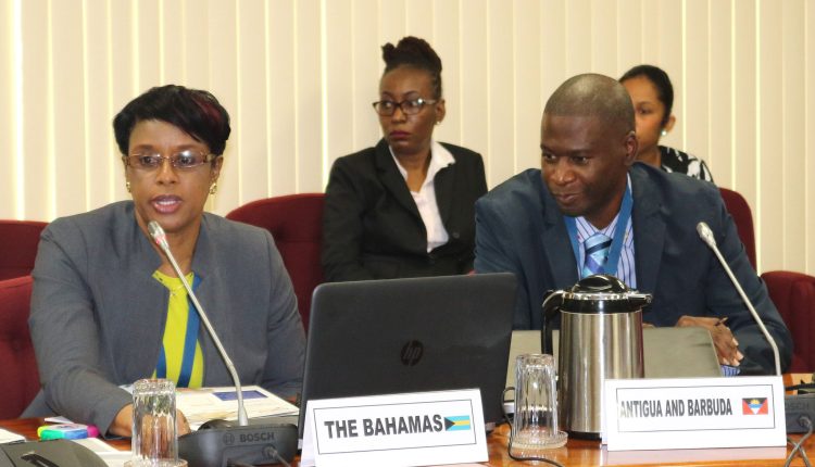 CARIFORUM Customs Meeting – Delegate from Antigua and The Bahamas