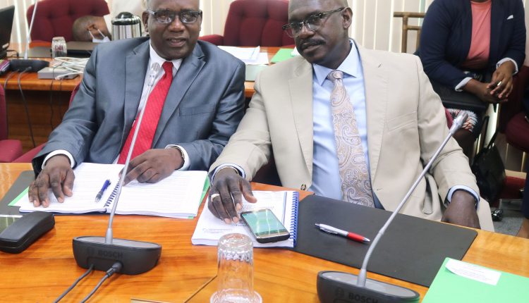 COTED Delegates – Grenada