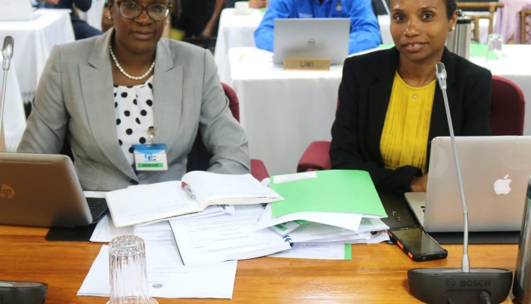 COTED Delegates – SVG