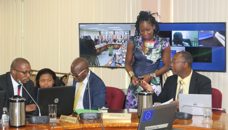 COTED Delegates in discussion