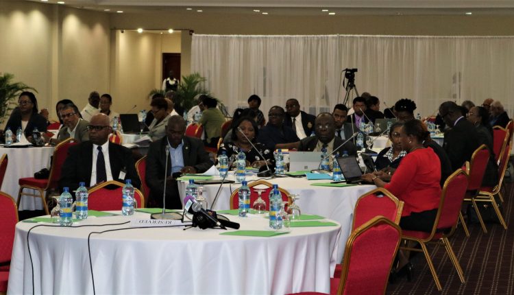 CSMZE Consultation – delegates feature