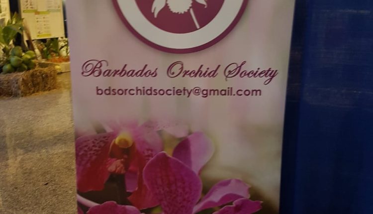 CWA MarketPlace – Barbados Orchid Society