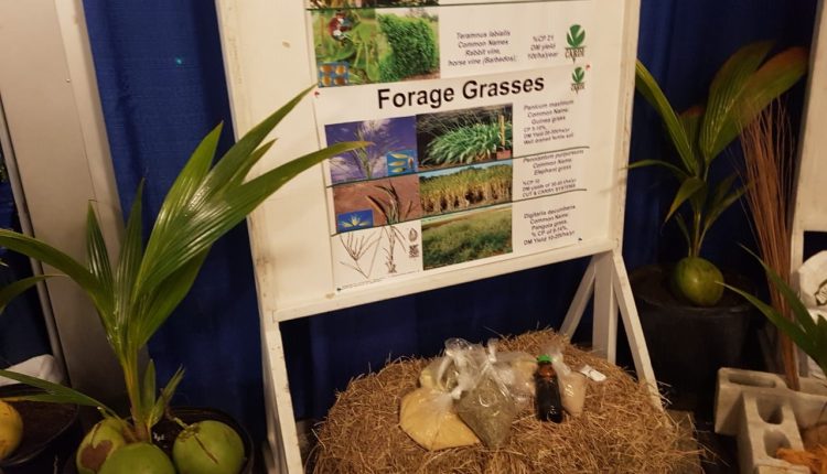 CWA MarketPlace – Forage Grasses