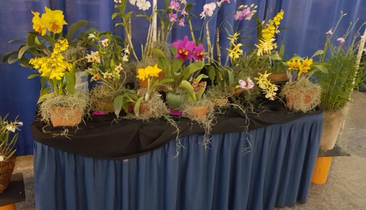 CWA MarketPlace – Horticultural society