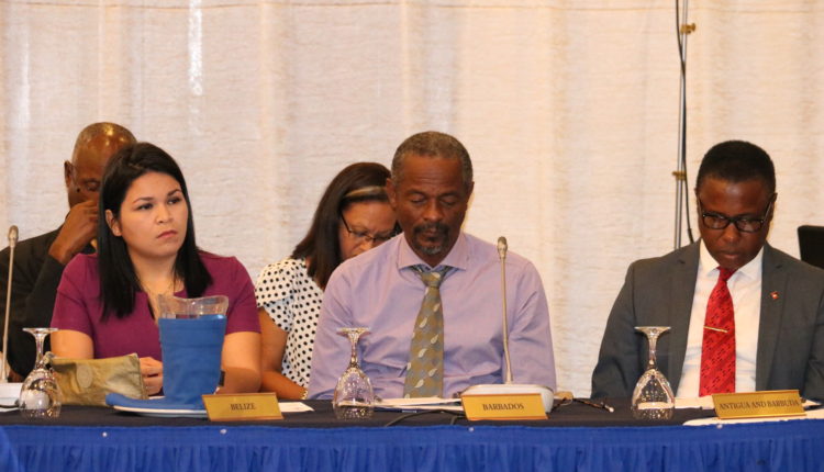 Delegates 6