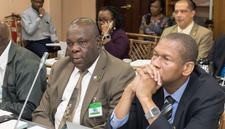 Delegates – CARDI