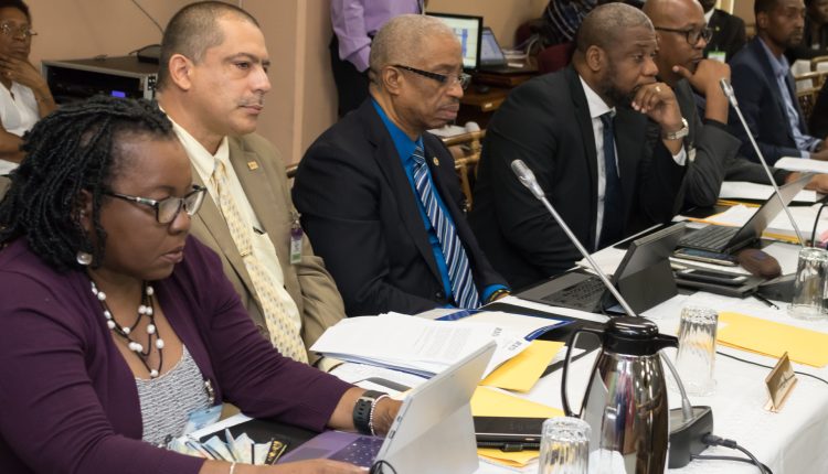 Delegates – IICA