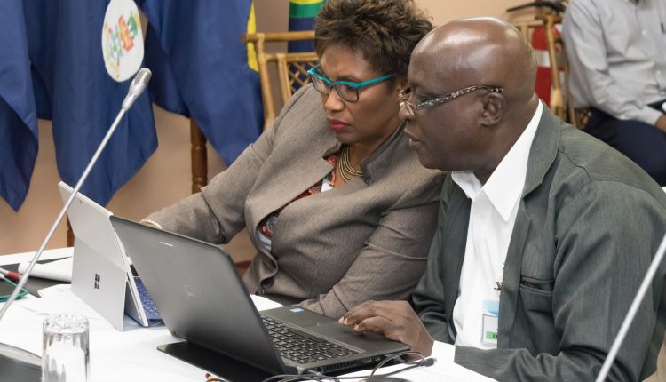 Delegates consult – CAHFSA