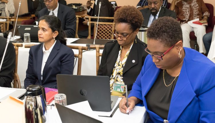 Delegates from institutions, FAO, Lystra serious
