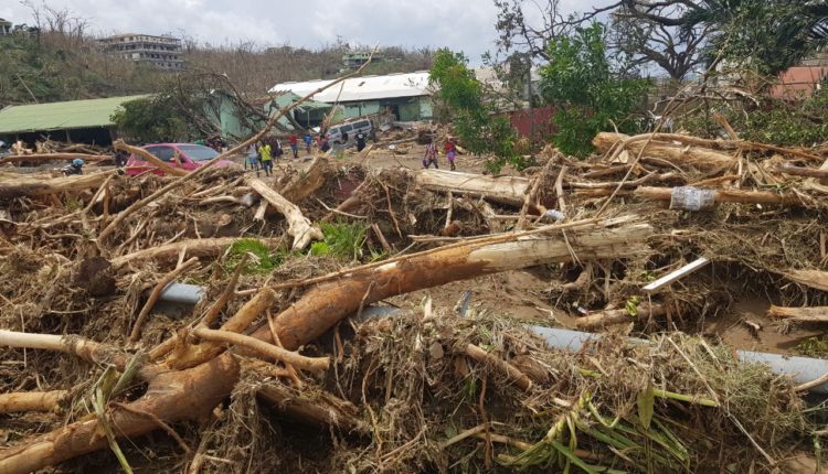 Dominica Hurricane Maria damage trees (CTO)