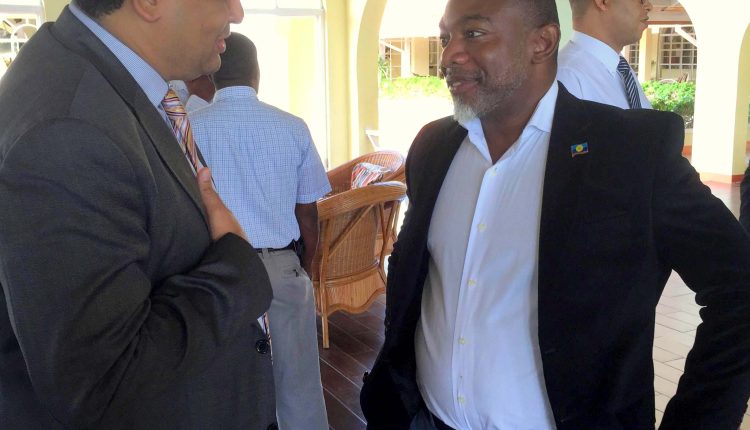Dr Gardner, participant, Grenada workshop
