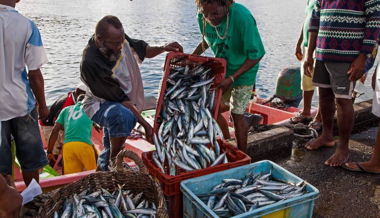 fish-on-the-wharf