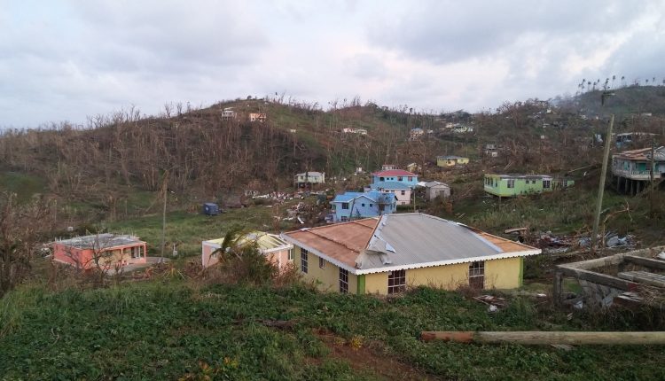 For End of Year Montage -Agriculture destruction in Dominica