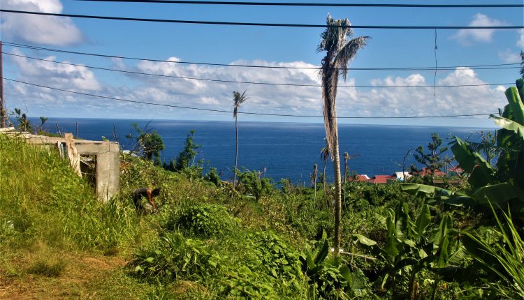 Green returning to the Nature Isle – Nov