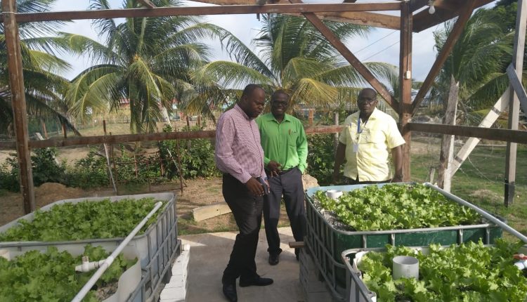 Mr Baugh at UG Agri Faculty