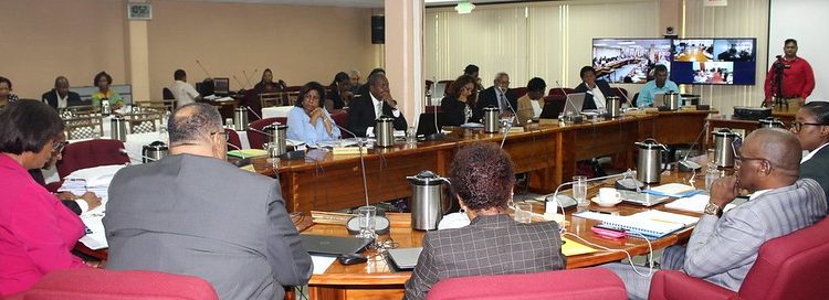 Special COTED Meeting on Services underway at CCS