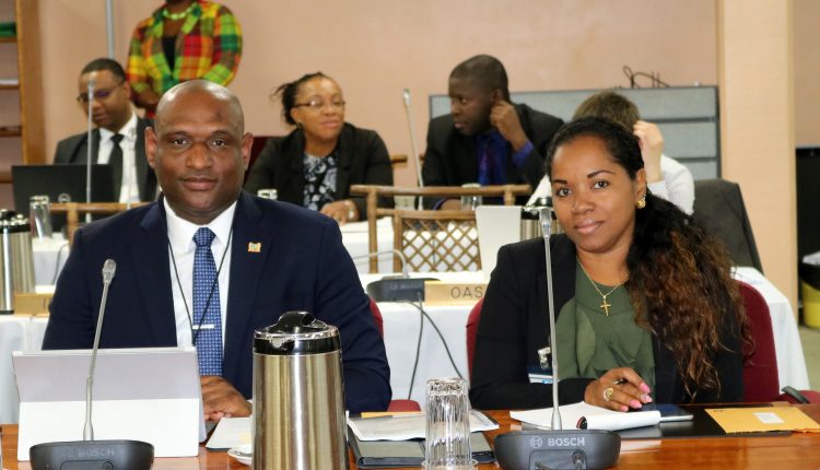 Special COTED Suriname delegates