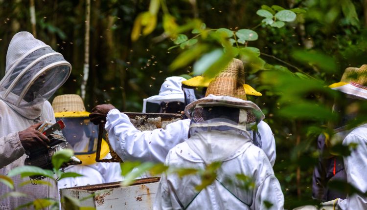 surrounded-by-bees-in-protective-gear (CDB)